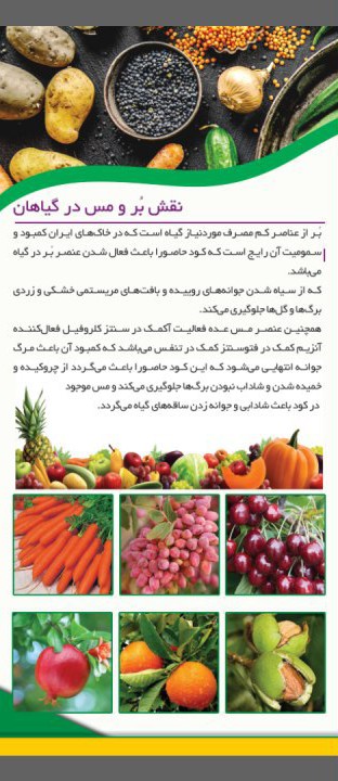 کودحاصورا