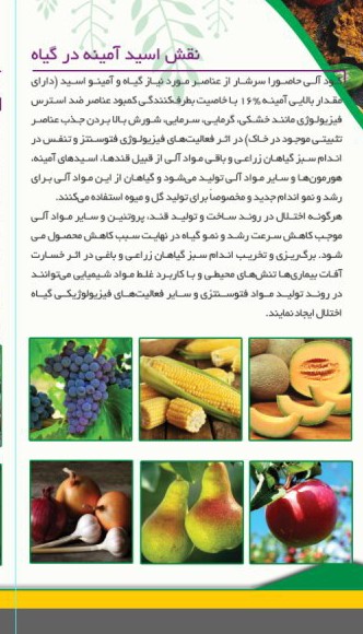 کودحاصورا