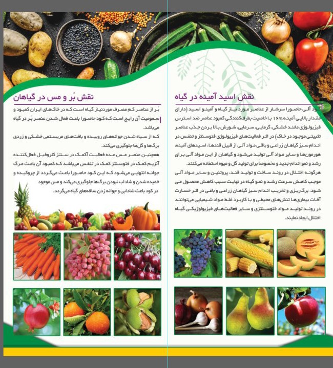 کودحاصورا