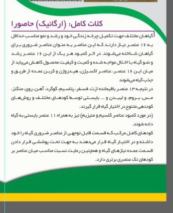 کودحاصورا