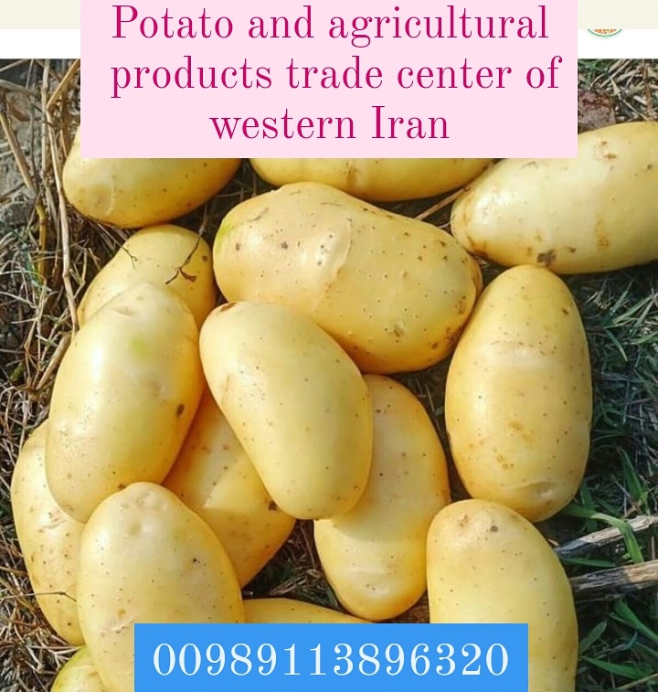 محصولات کشاورزی