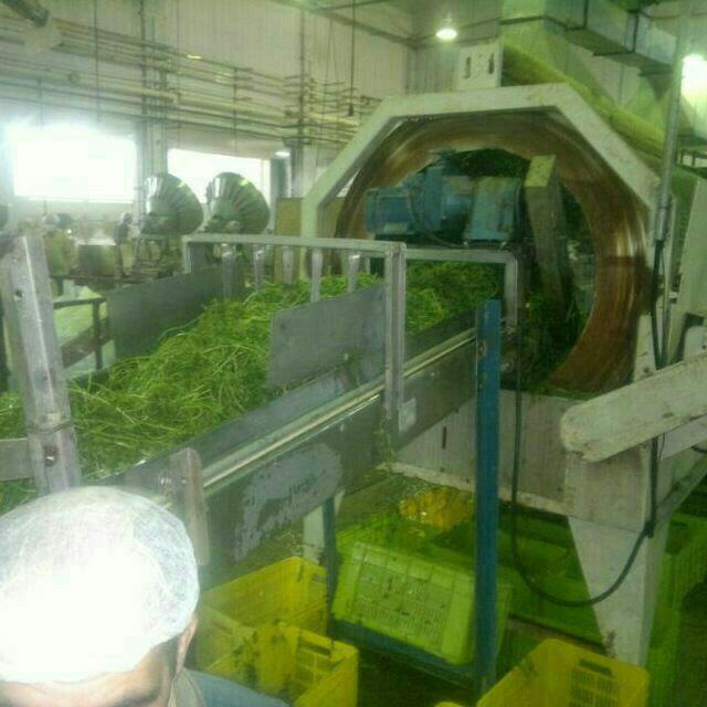 دستگاه آبغوره گیری در اصفهان