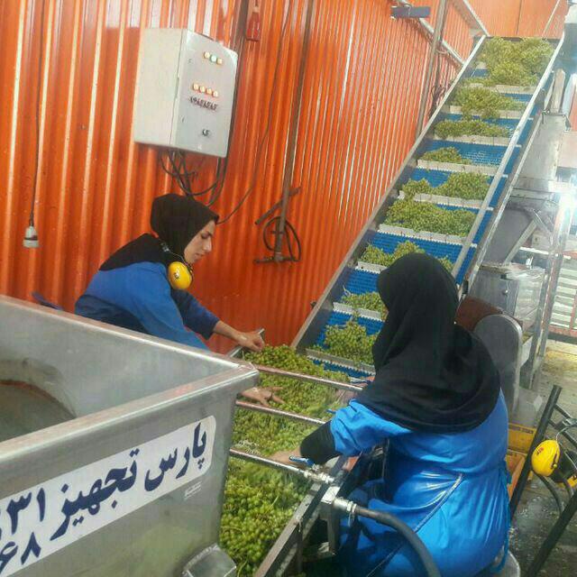 بهترین دستگاه آبغوره گیری در اصفهان