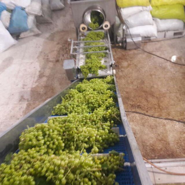دستگاه آبغوره گیری در اصفهان