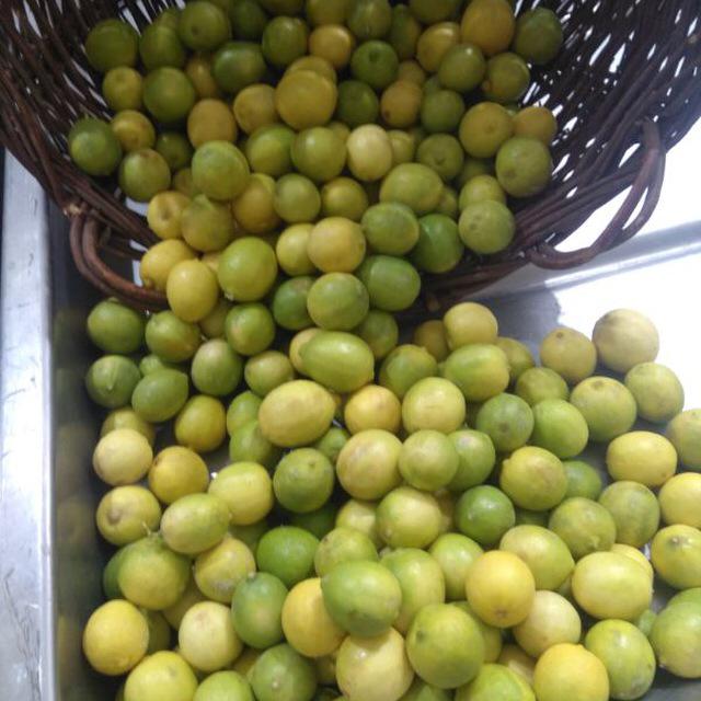 دستگاه آبغوره گیری در اصفهان