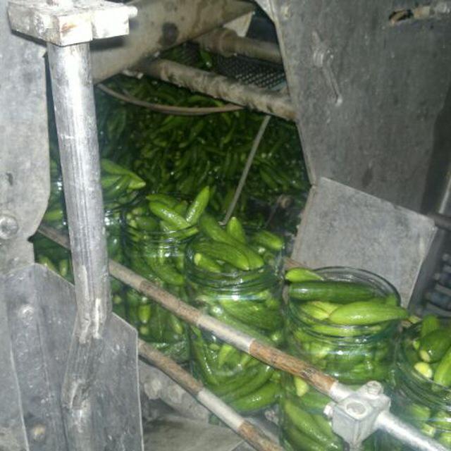 فروش دستگاه آبغوره گیری در اصفهان