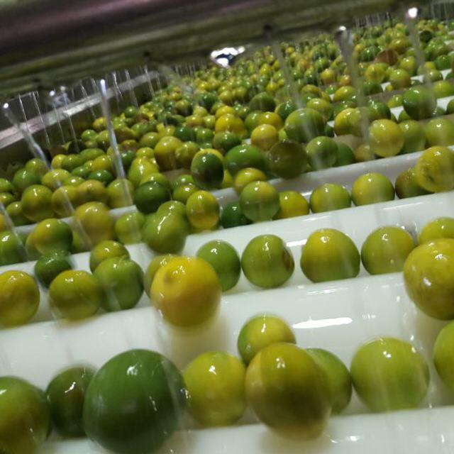 دستگاه آبغوره گیری در اصفهان