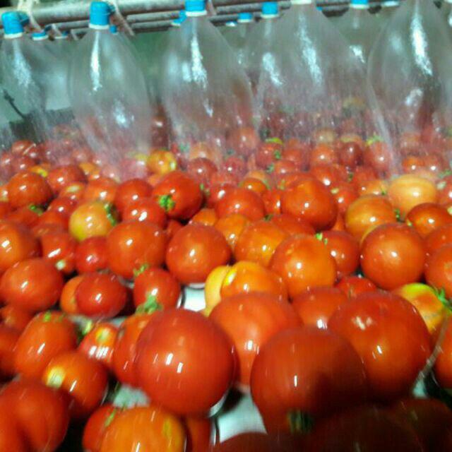 قیمت دستگاه آبغوره گیری در اصفهان