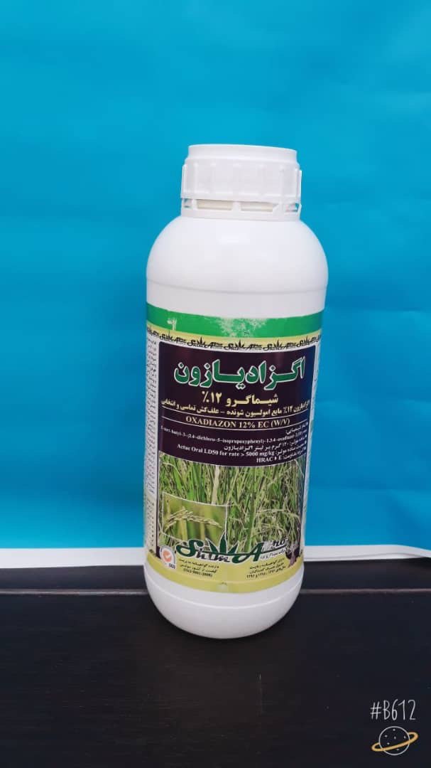 اگزادیازون(رونستار)