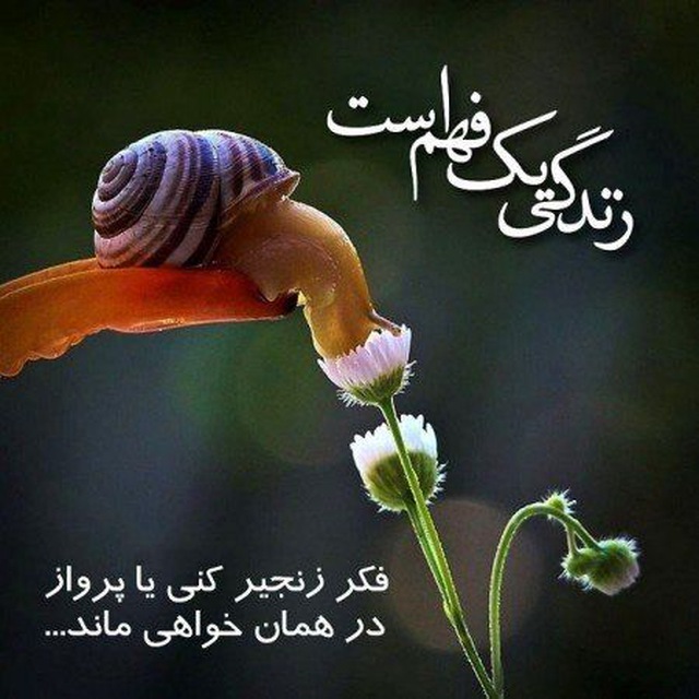 انگیزشی
