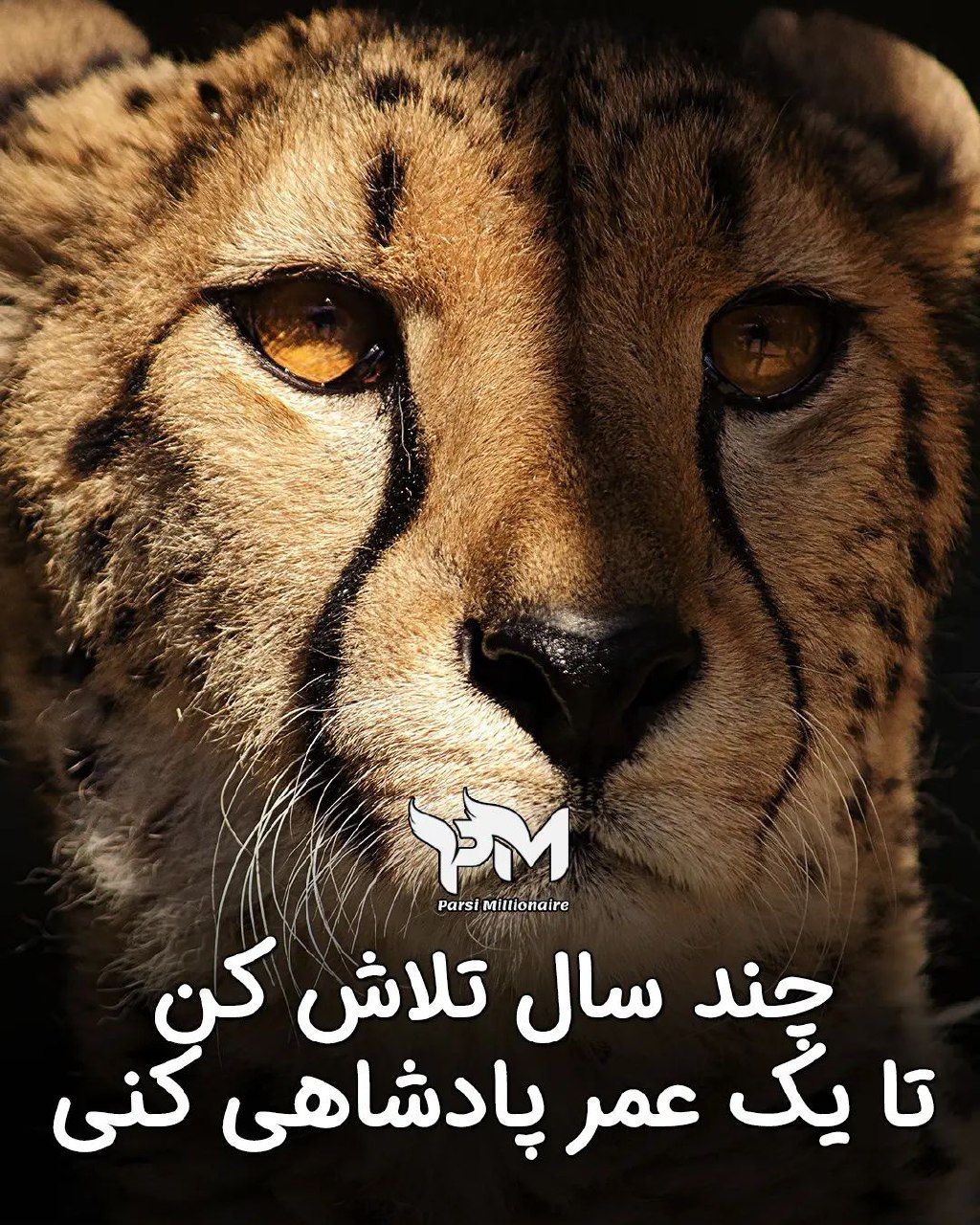 انگیزشی