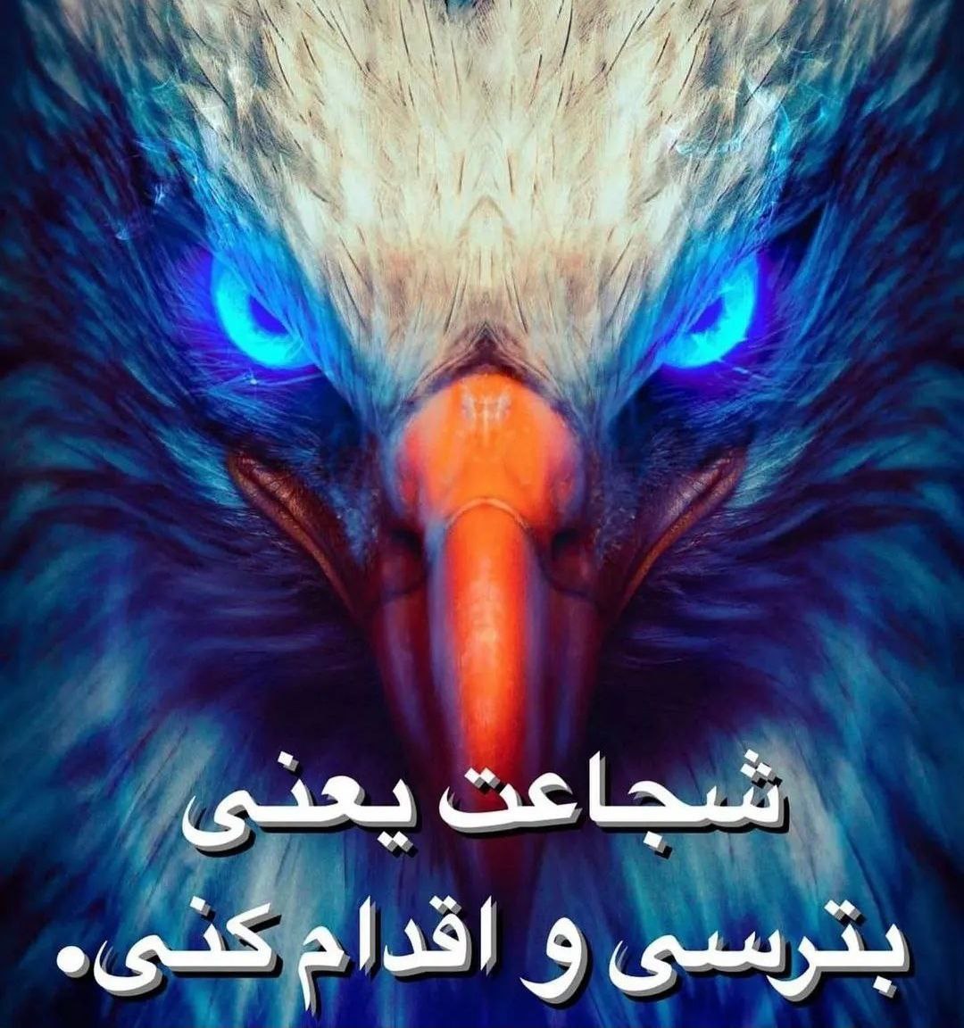 موفقیت