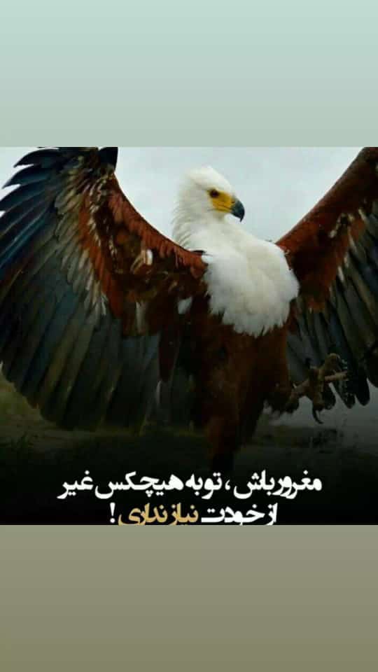موفقیت