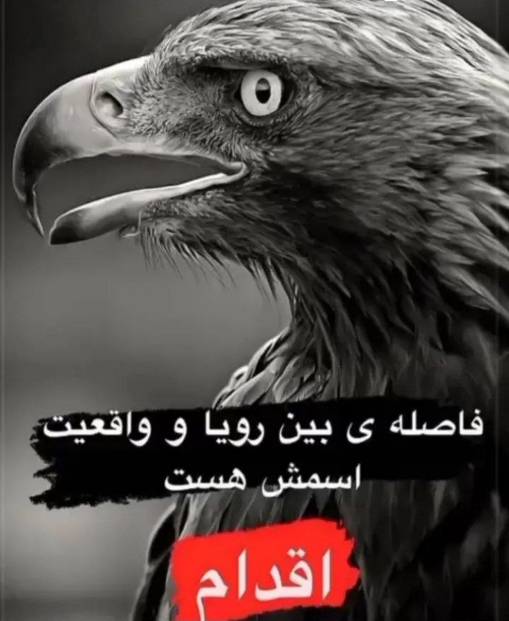 موفقیت
