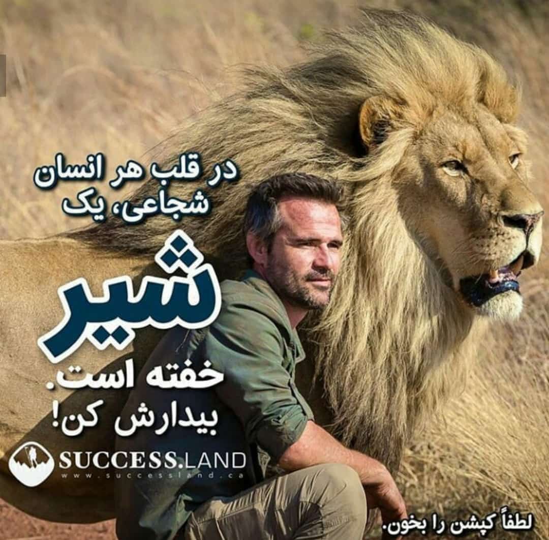 موفقیت