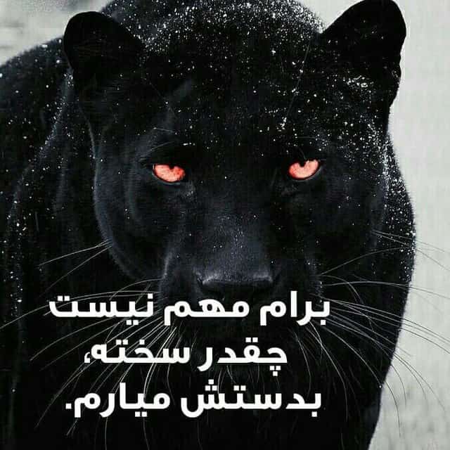 موفقیت