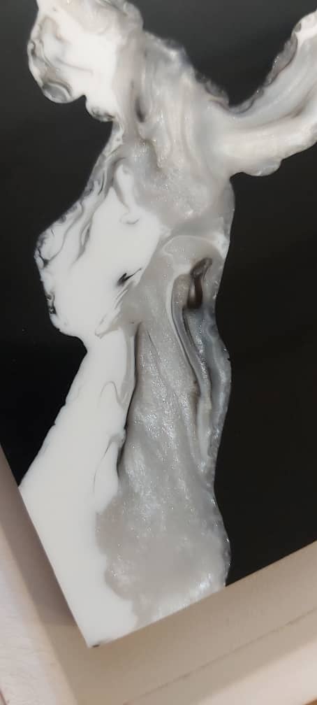 زنتکس6