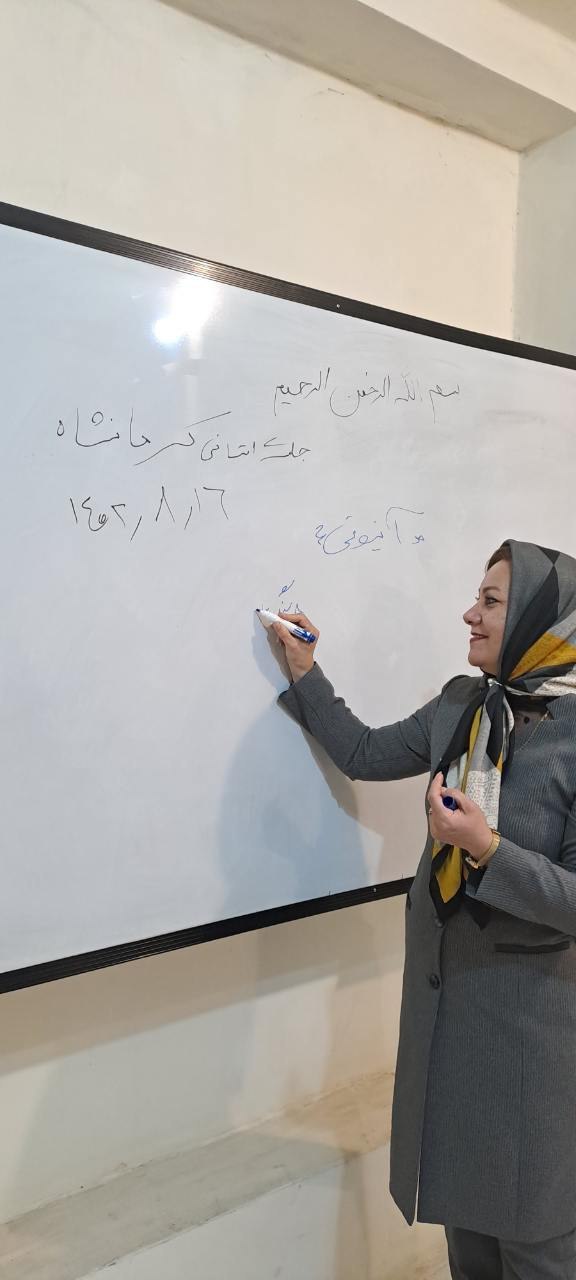 سفرهای استانی