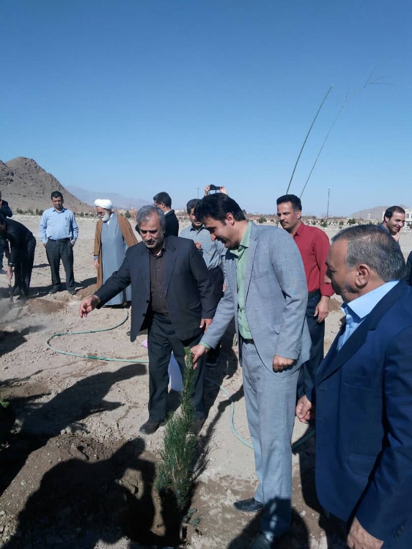درختکاری