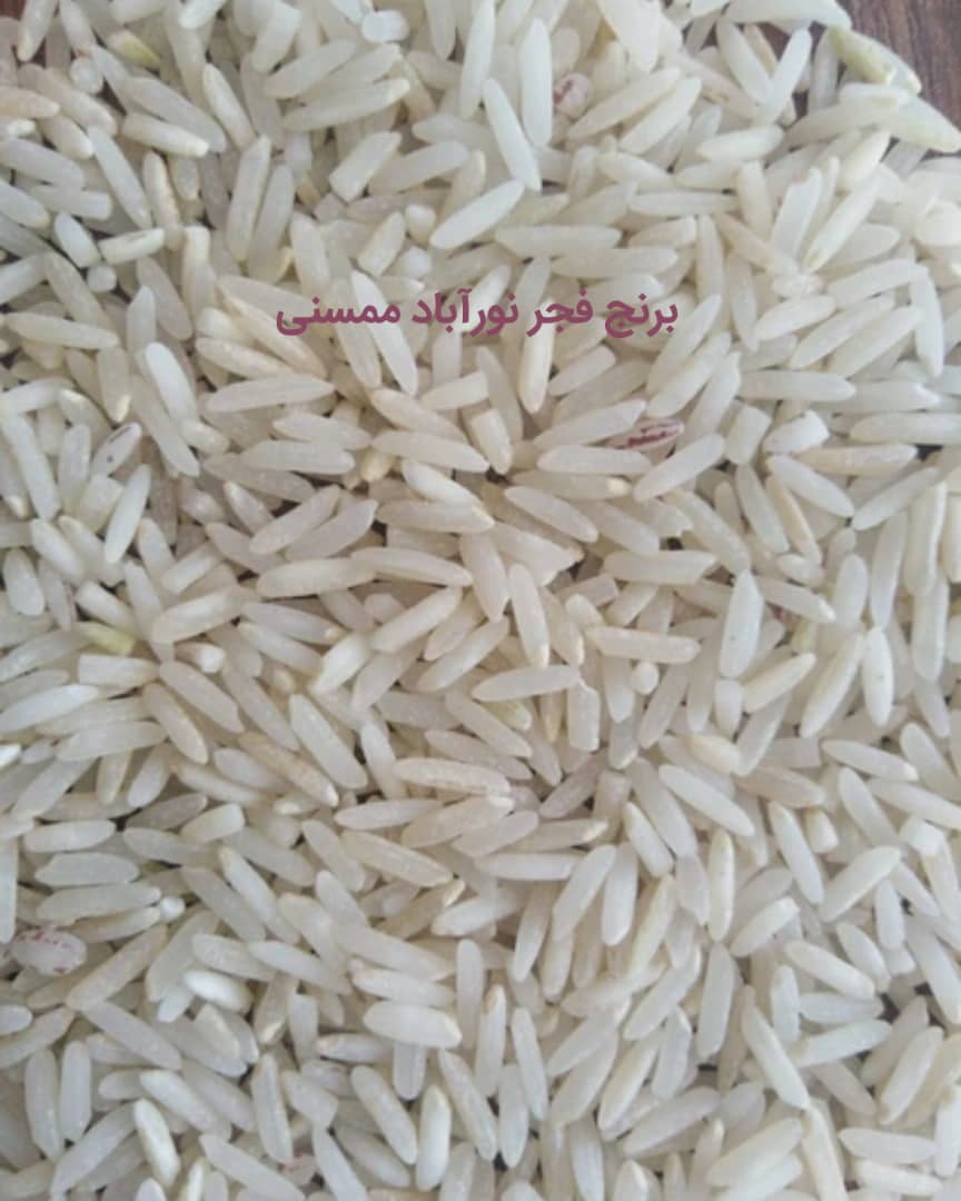 برنج فجر نورآباد