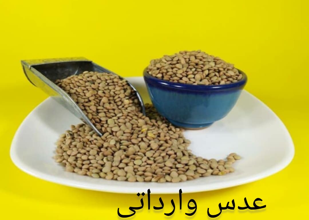 فروش عدس وارداتی