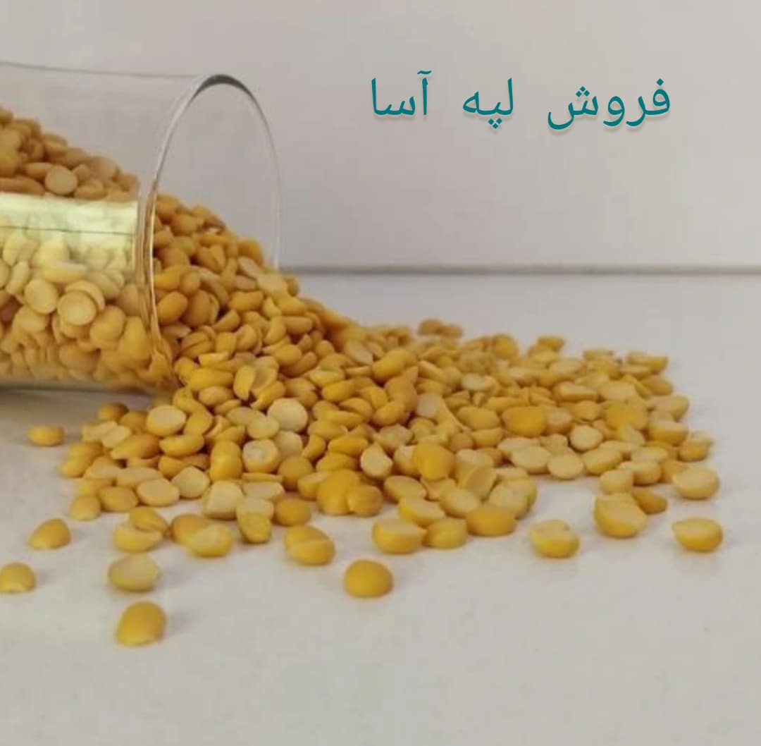 خرید عمده لپه