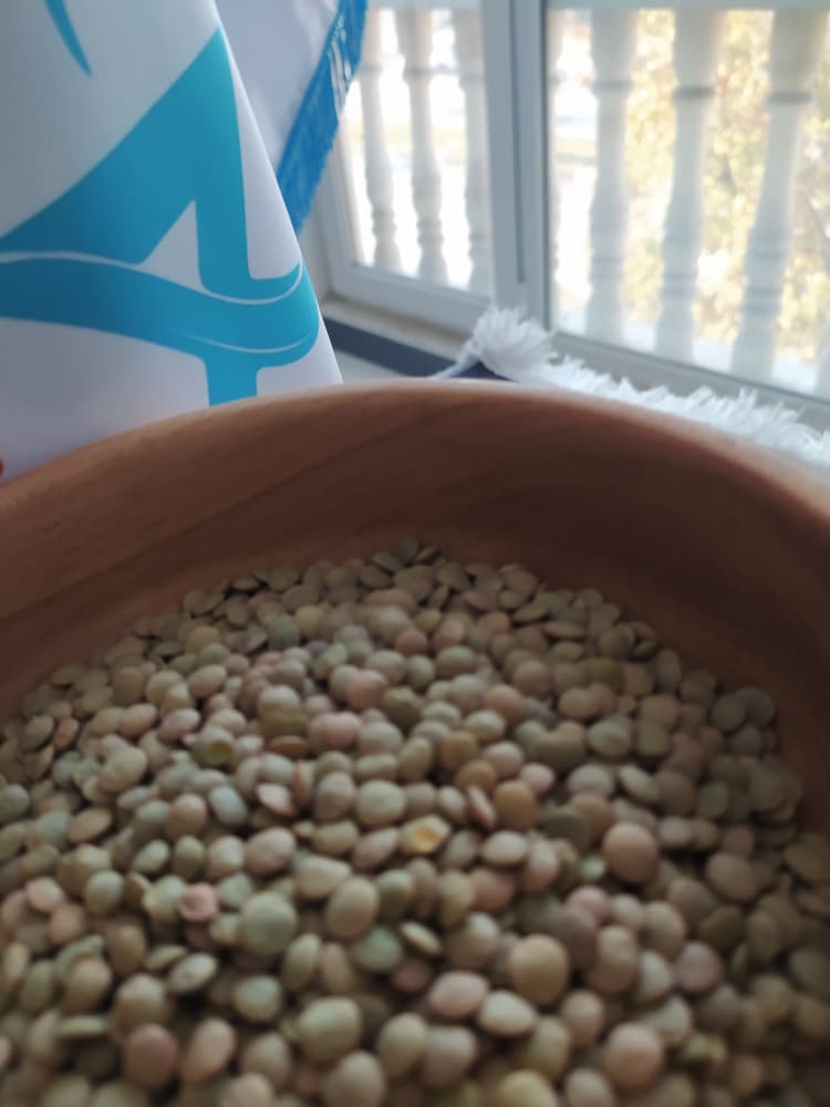 تامین بهترین عدس بومی