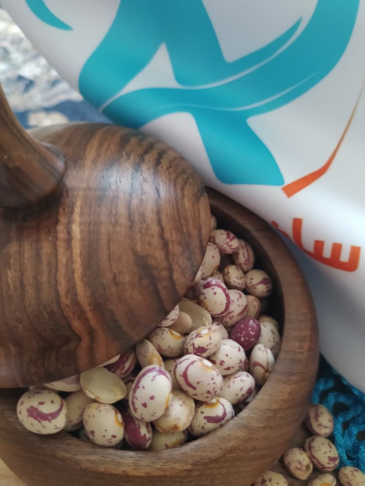 خرید عمده لوبیا چیتی