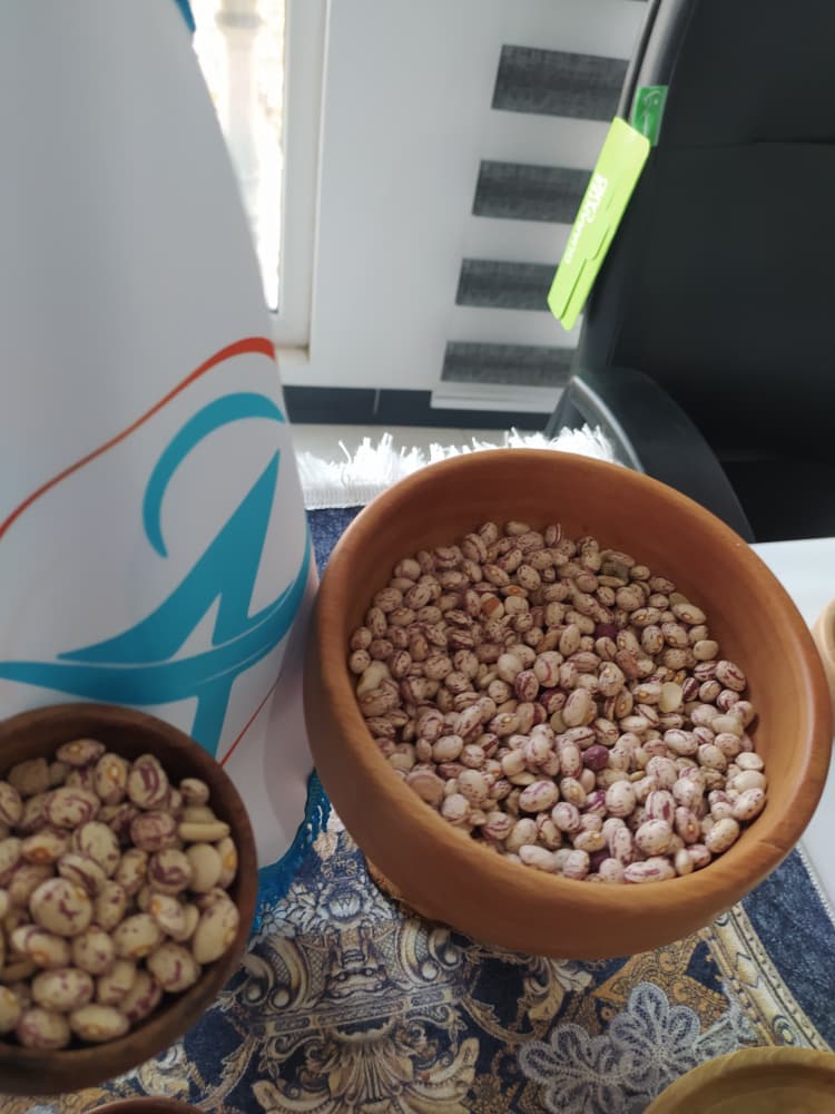 فروش لوبیا چیتی فارس