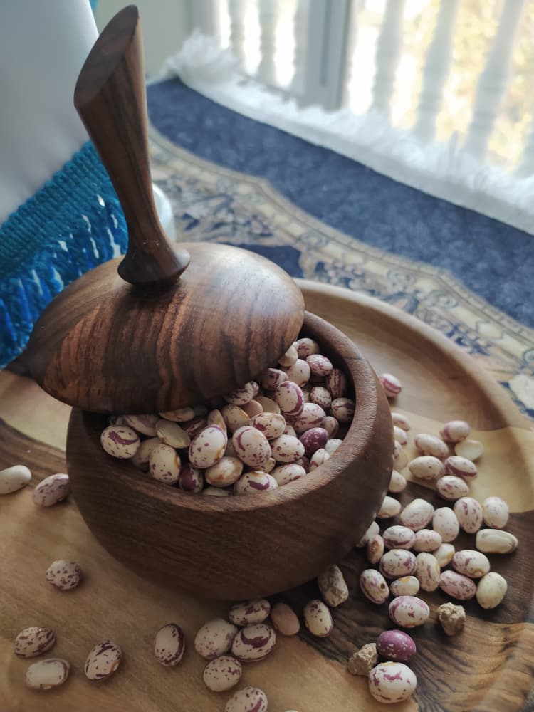 خرید لوبیای با کیفیت بومی