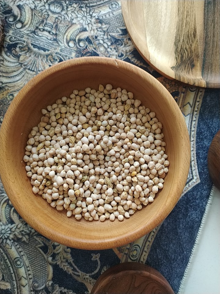 فروش نخود آبگوشتی