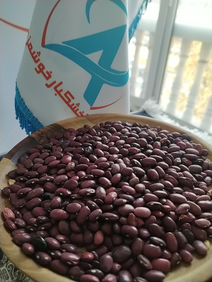 خرید لوبیا قرمز تازه