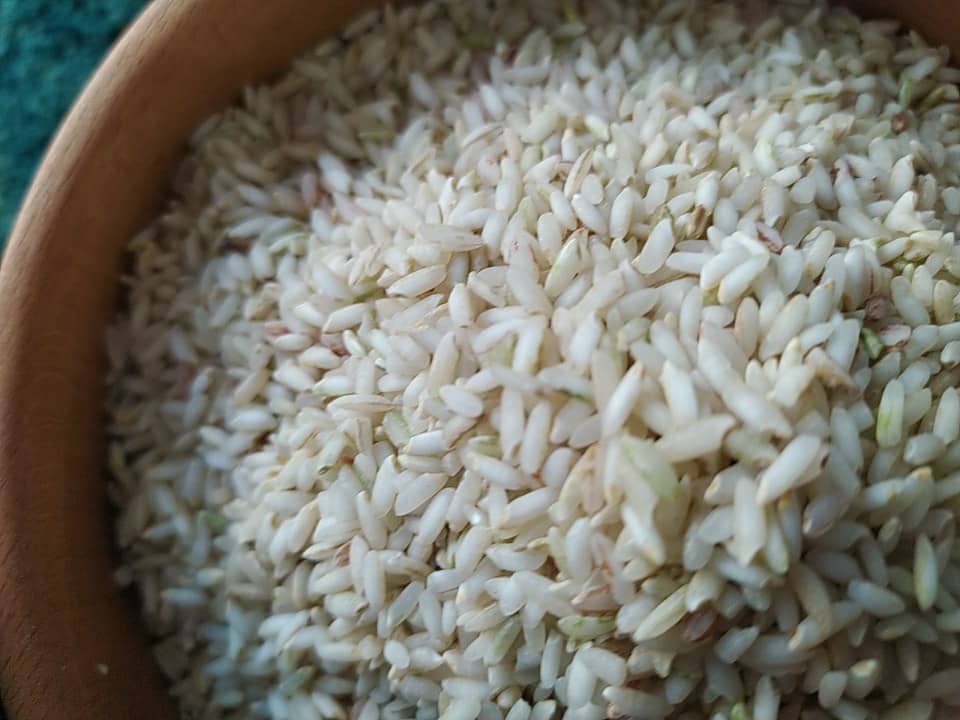 فروش ویژه برنج کامفیروزی