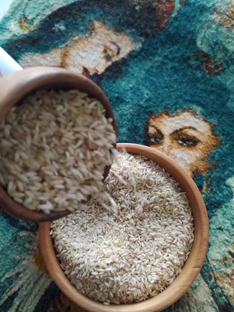 پخش عمده برنج کامفیروز