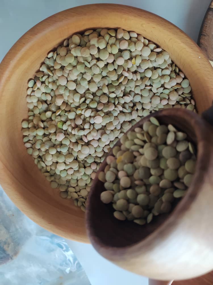 خرید عمده عدس با کیفیت ممتاز و قیمت رقابتی