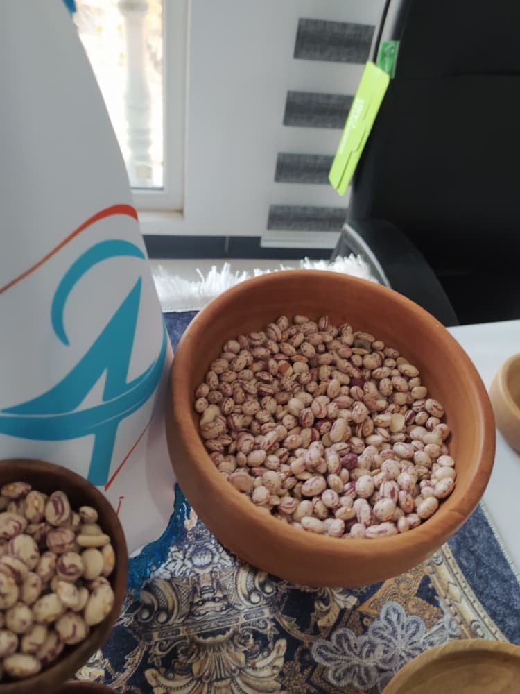 لوبیا چیتی؛ انتخابی سالم برای سفرههای ایرانی