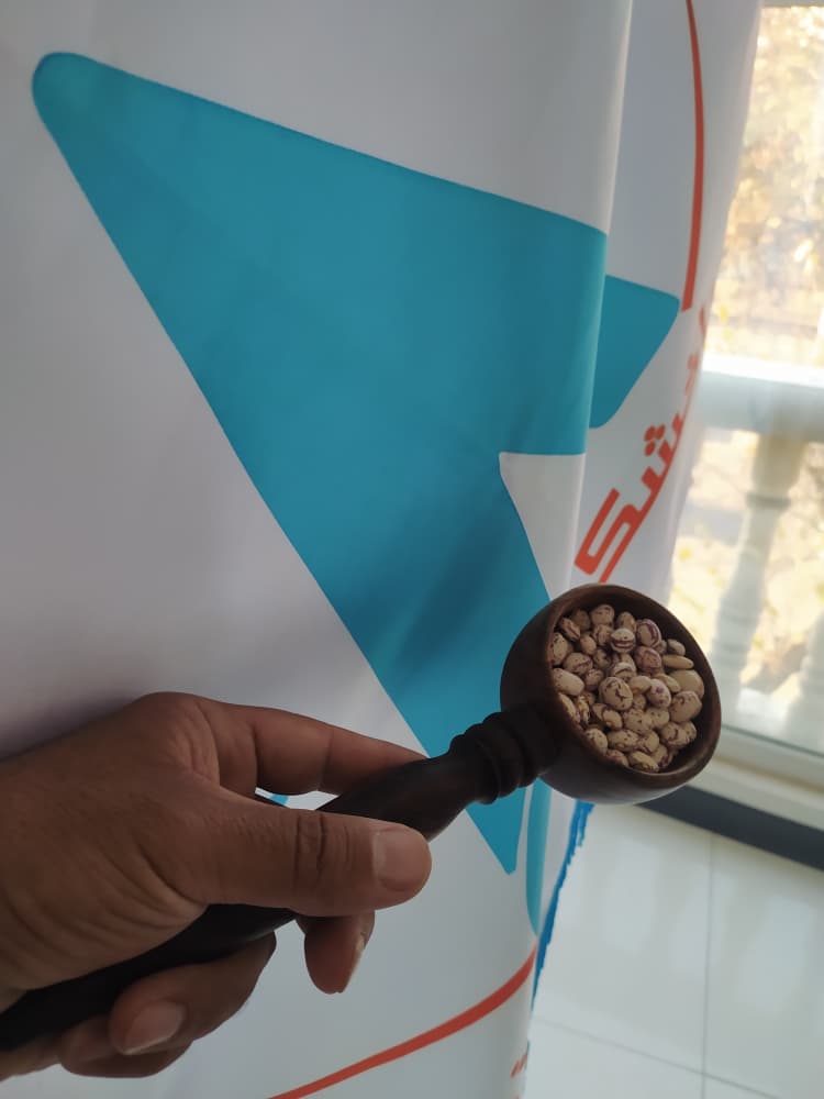 قدرت تغذیه در دانههای کوچک لوبیا چیتی