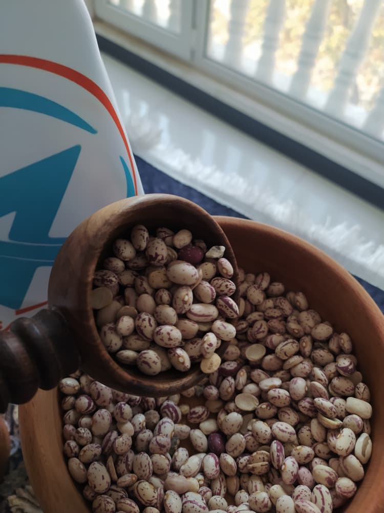 لوبیا چیتی ممتاز