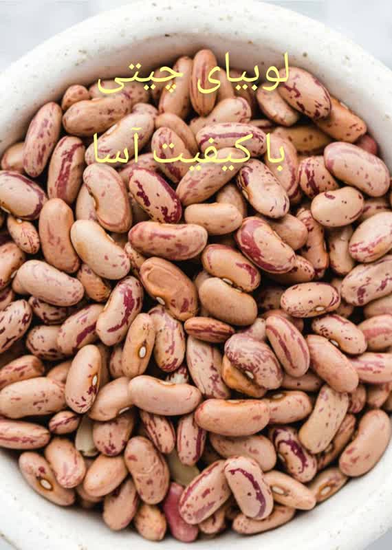 لوبیا چیتی تازهمحصول