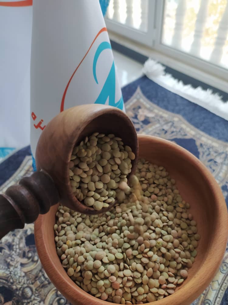 خرید و فروش عدس کانادایی