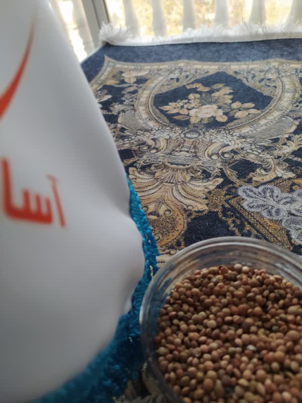 خرید و فروش عدس با بهترین قیمت