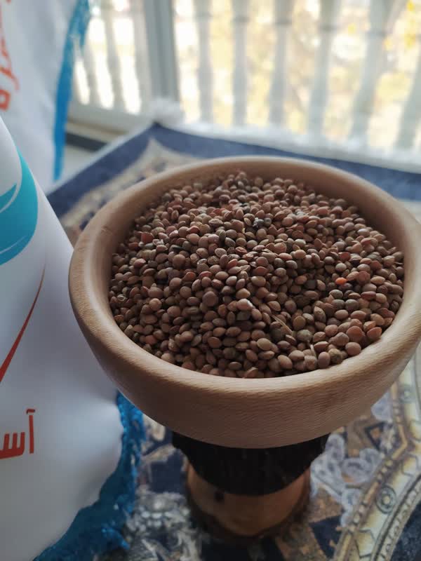 عدس, منبع غنی پروتئین و فیبر