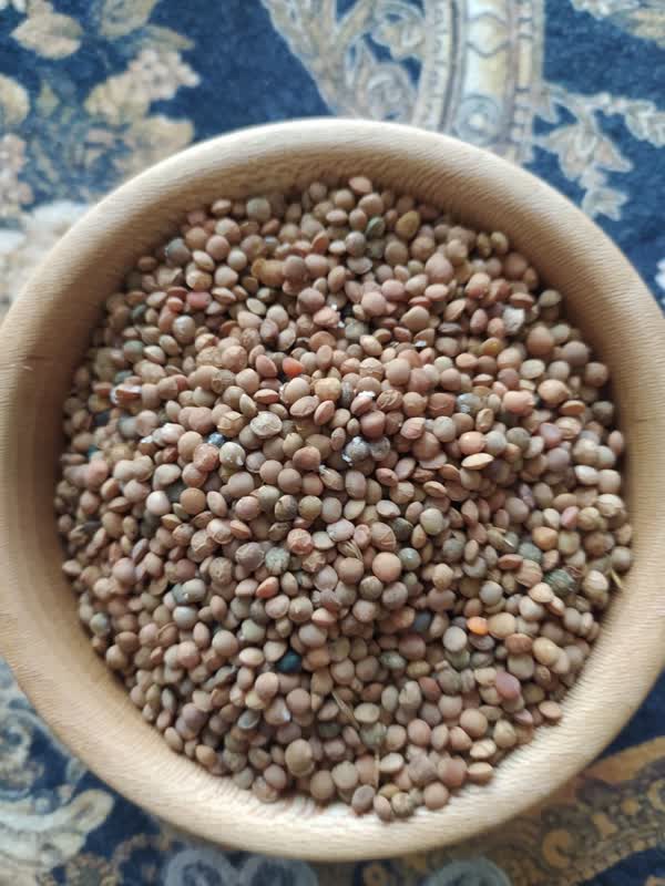 مزایای استفاده از عدس در رژیم غذایی روزانه