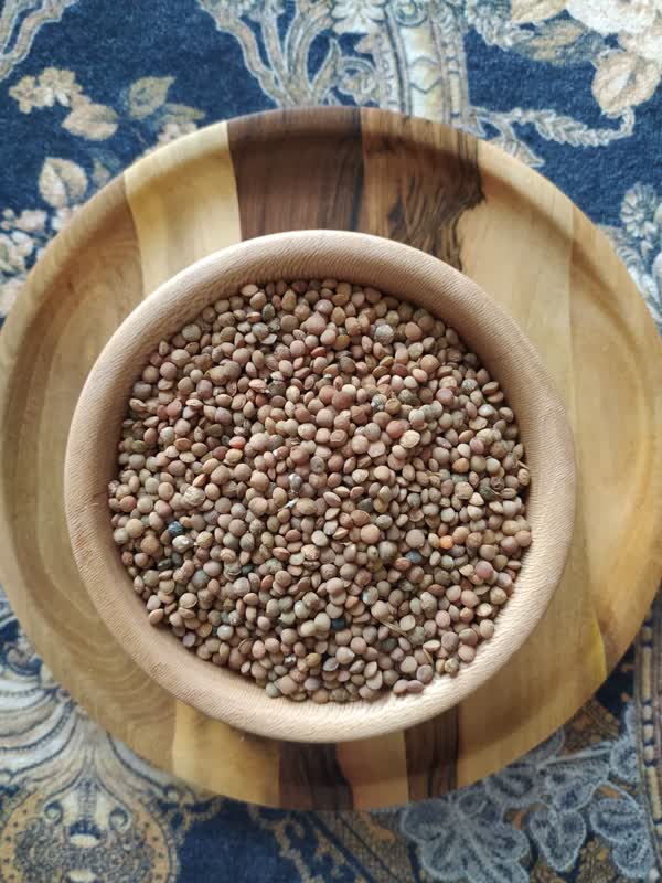 عدس؛ غذایی کامل برای سلامتی و طعم