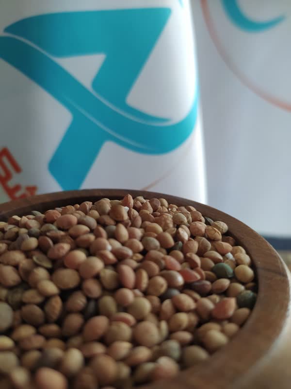 تامین کننده عدس عمده و خرده فروشی