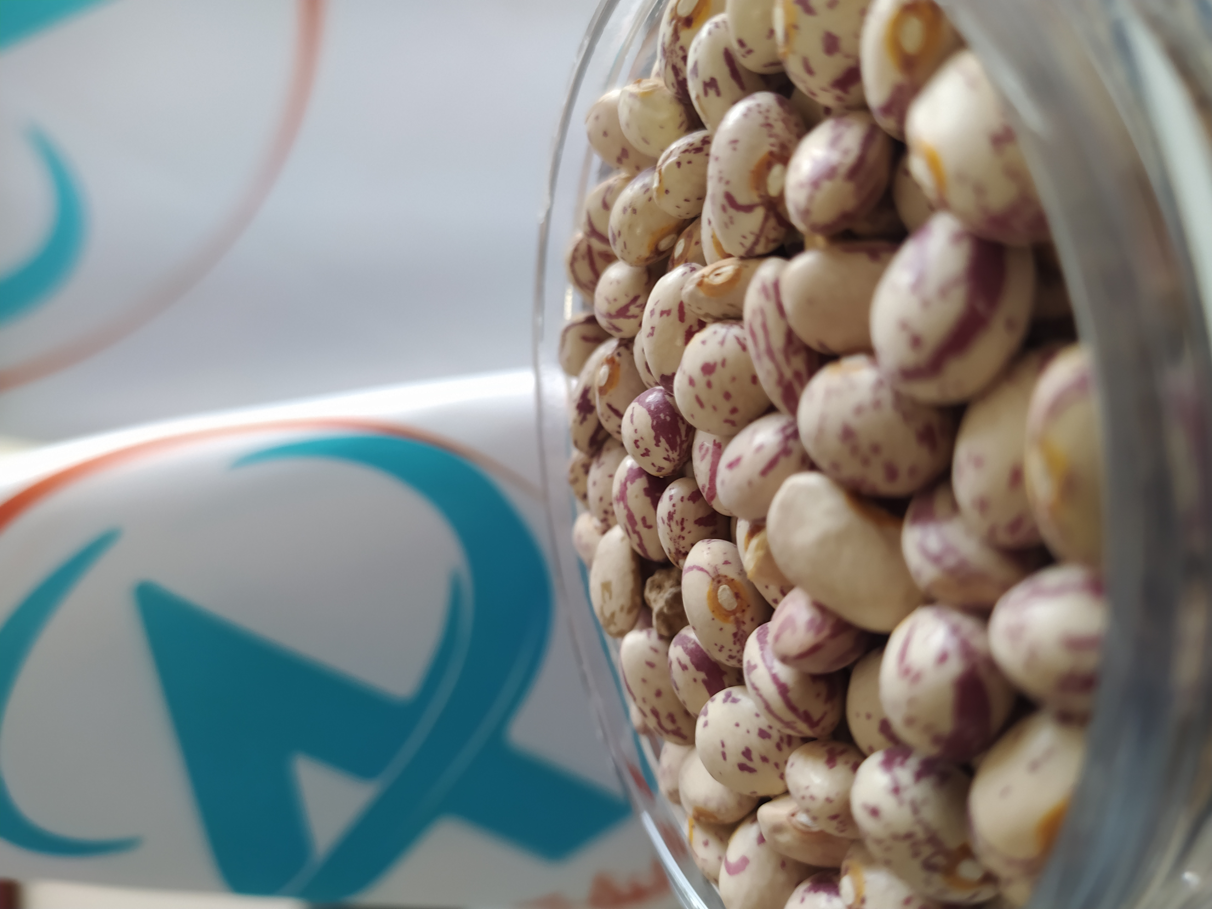 خرید عمده لوبیا چیتی با قیمت رقابتی