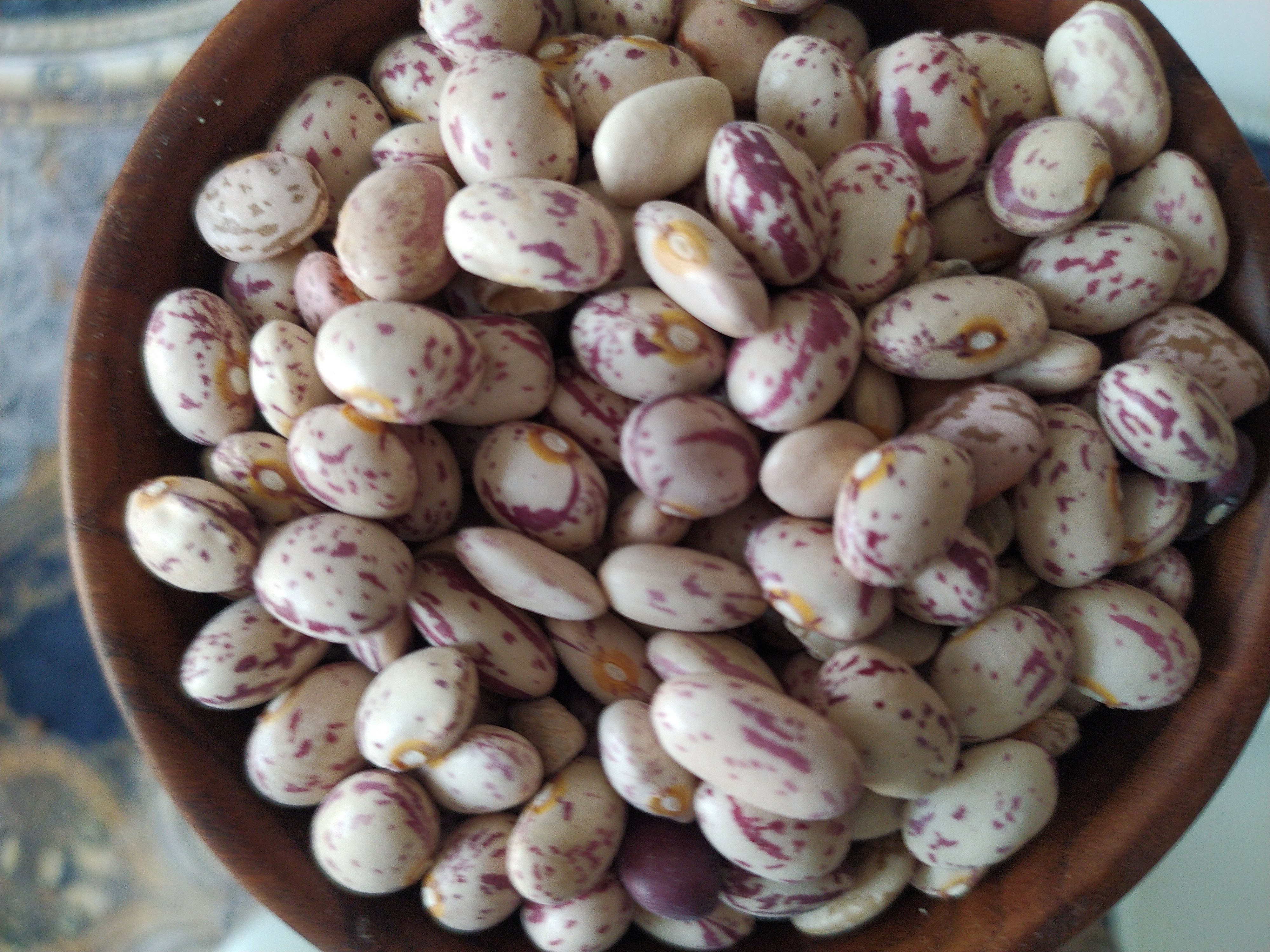 خرید لوبیا چیتی با قیمت منصفانه