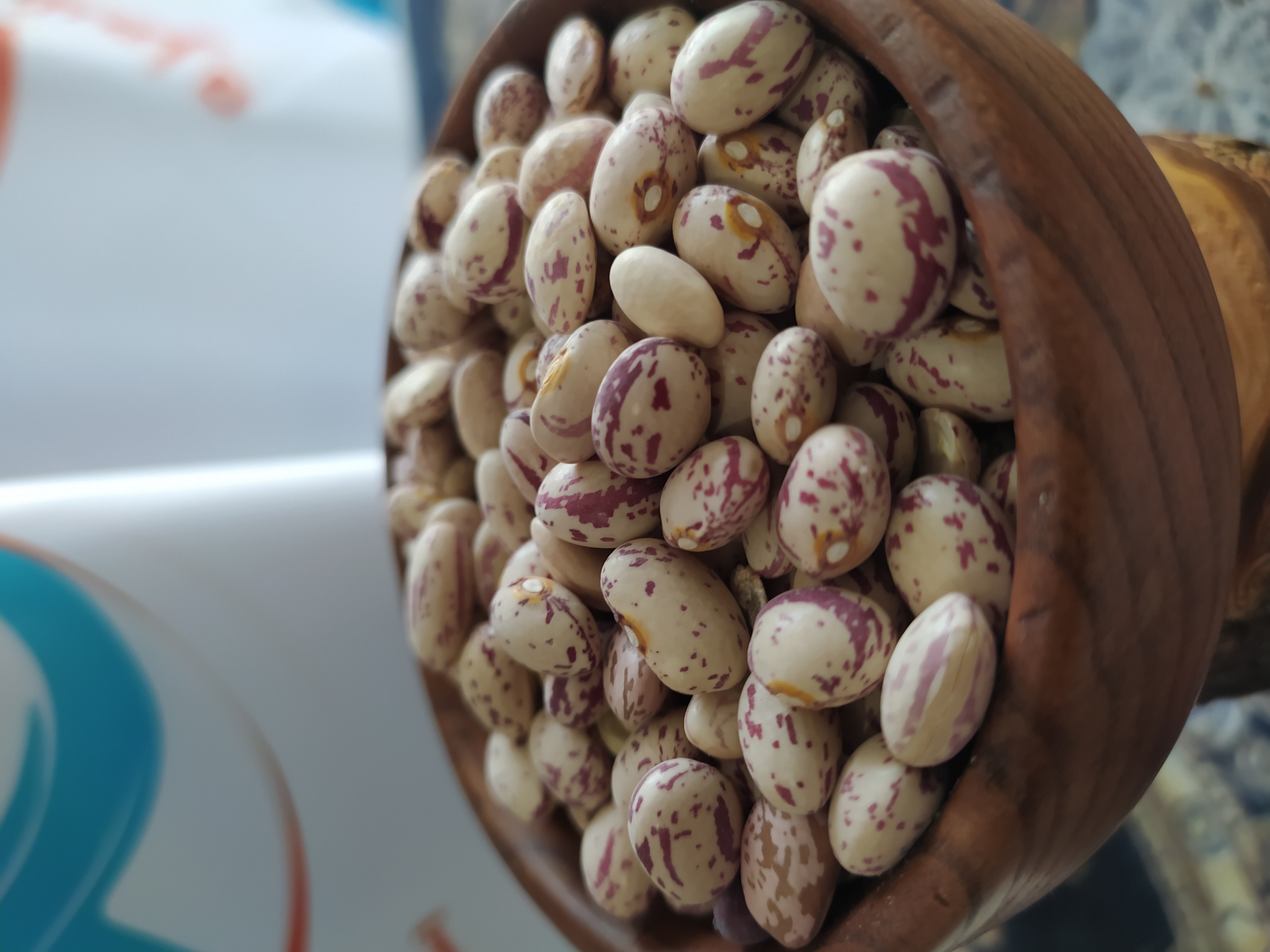 فروش لوبیا چیتی سالم