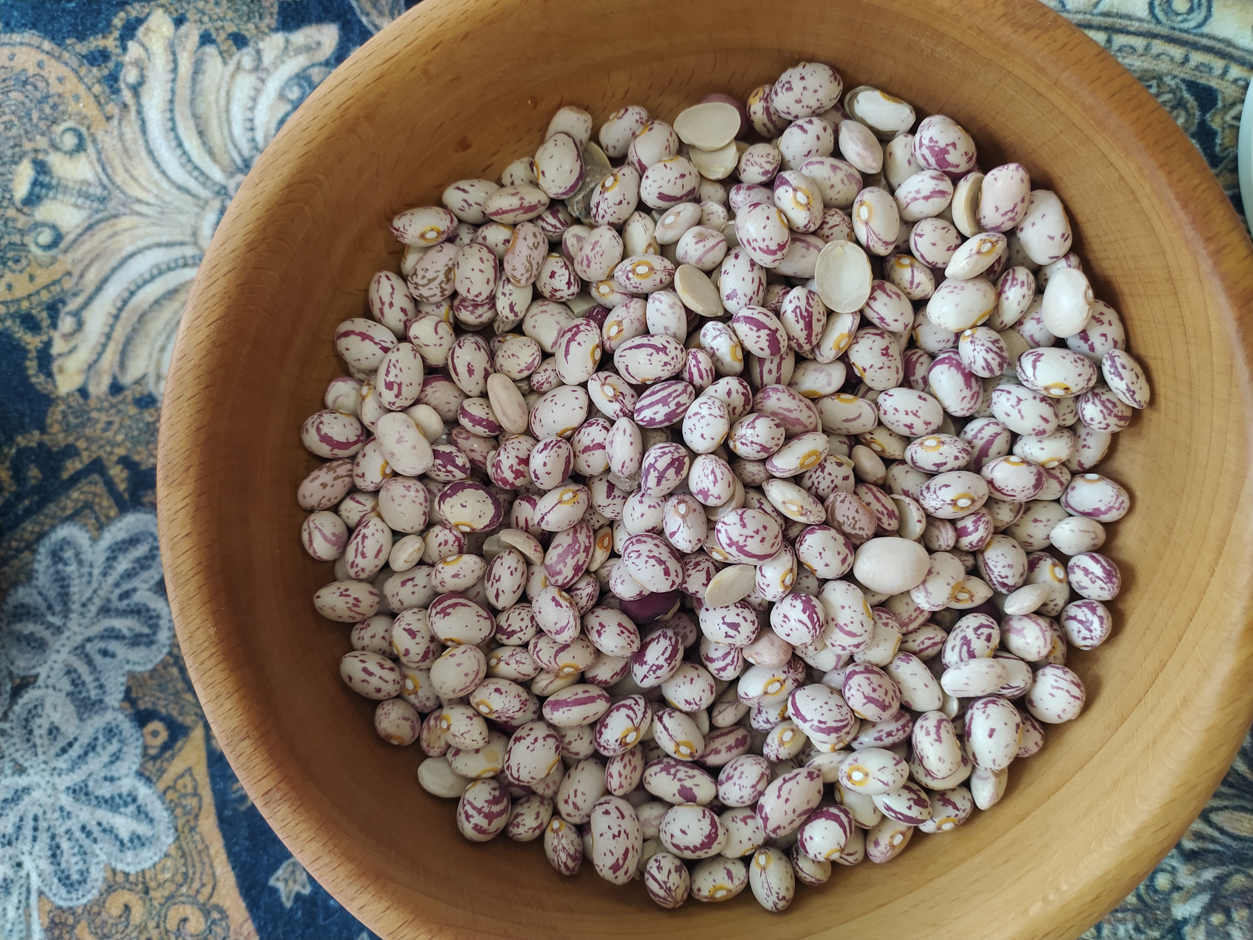 لوبیاچیتی,ترکیب هوشمندانه ی تغذیه و صرفه اقتصادی