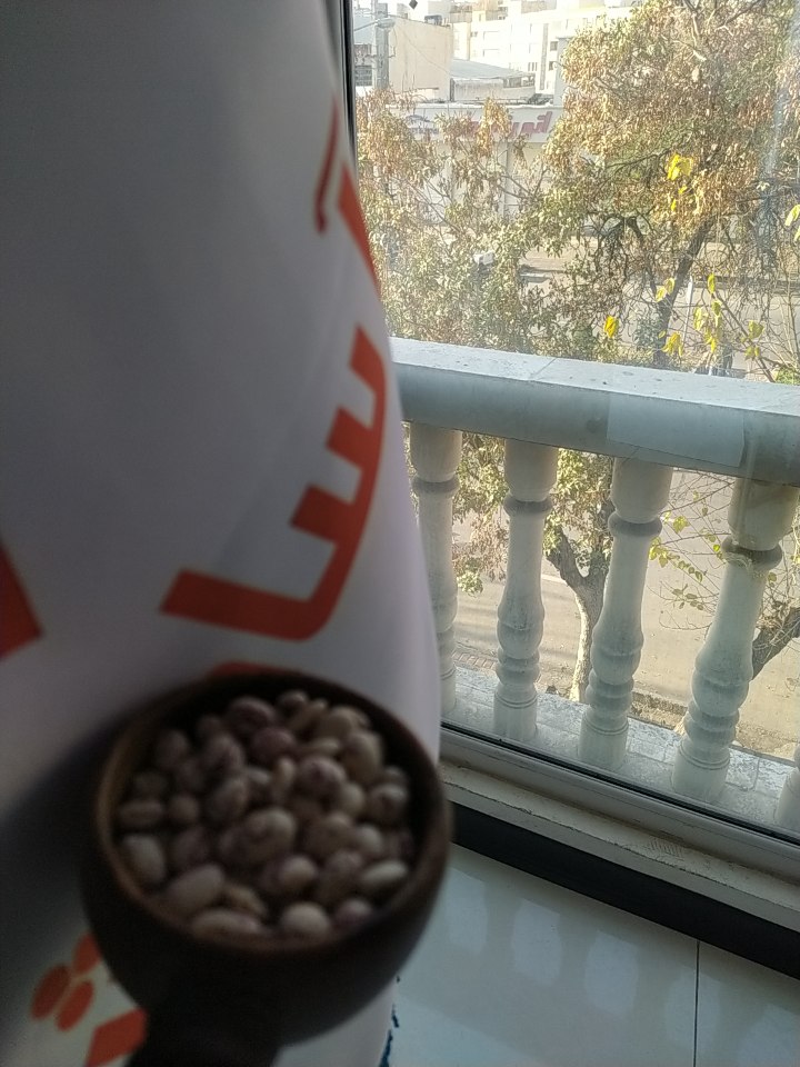 فروش نخود مرغوب ایرانی با تضمین کیفیت و تازگی